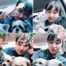 방태산 대복식당 이미지