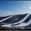 하이원펜션 이미지