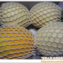 채원농장 이미지