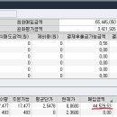 [ 안개꽃님] 미국 주식으로 상장폐지를 당하다ㅠㅠ 이미지