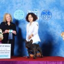 라온제나 이미지