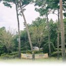 간대산 등산로 이미지