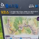 양평 물소리길 제9코스(일신역에서 양동역) 이미지