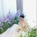 타임결혼정보 이미지