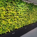 에이치엘비파워(주) 이미지