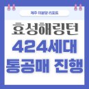 효성해링턴 시니어클럽 | 제주 미분양/ 효성해링턴 플레이스 424세대 통째 공매 - 낙찰·유찰·정책 개입 등 미래 시나리오