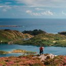 영화플라워 이미지