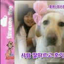하이디