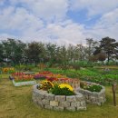 청춘농장 이미지