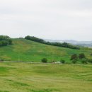 경인목장 이미지