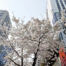 현대홈쇼핑 모바일 속 H카페 클럽노블레스 명품쇼핑 즐겨보기