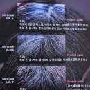 아모스광주점 | [헤어연구소 No.5][교육 후기] 아모스 컬러 마스터즈 : 색채의 원리와 실전의 조화를 배우다!