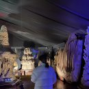 수석전시관 | 포천 가볼만한곳 | 예술정원1999 자연예술테마파크 후기 | 커피랑 소금빵이 맛있는 전시관