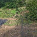 문배농장 이미지