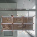 경희대 액티브 태권도 이미지