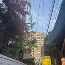 북촌곰탕 이미지