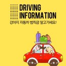 DRIVING INFORMATION / 강아지 자동차 범칙금 알고 가세요 이미지