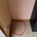 동온아쿠아 이미지