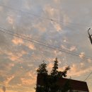 장수감자탕탕 이미지