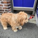 삼락하동재첩국 이미지