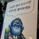 고릴라짐 광교2호점 이미지