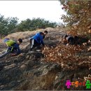 자연과아이들 이미지