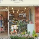 꽃집화요일 이미지