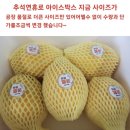 친사모 상품권 10만원 사용 황금메론 이미지