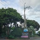 꿈속여행 | 제주포레스트카라반캠핑🌿 제주카라반 감성 한가득! 자연 속 힐링 제주여행 후기