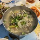 강남구청역 학동역 대패삼겹살 포뜬 오징어회 맛집🦑