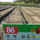 작은텃밭 이미지