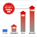 스포츠등산무릎보호대 브이렉스 VE-301 M사이즈 찐사용 후기