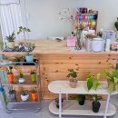 양덕동396 이미지