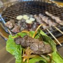 우리한우먹자 이미지