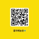 금평개발 | 아사바태화 신형 권총형 노즐 약대 소개