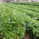 희망찬농장 이미지