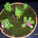 관호농장 이미지