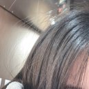 도그드살롱 이미지