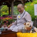 교감스테이