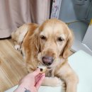 멍이부뚜막 이미지