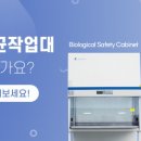 깨비크린 이미지