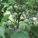 경기남부농장 이미지