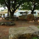 자매목장 이미지