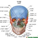 세계 모든 마사지를 배우실 수 있습니다 이미지