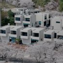 더그레이하우스 이미지