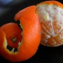 바디케어짐 이미지