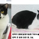 신암학교 앞 이미지