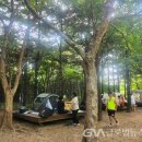 성동 서울숲 여름캠핑장 이미지