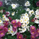 좋은생각 이미지