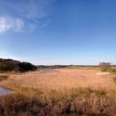 메이플비치 골프&리조트 이미지